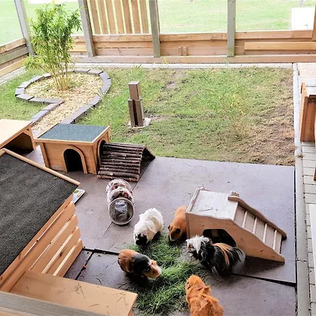 Am Alten Speicher 3 Σπίτι διακοπών Φέμαρν