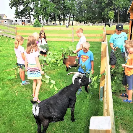 Σπίτι διακοπών Am Alten Speicher 3 *